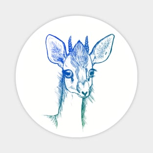 Dik-Dik Blue/Green Magnet